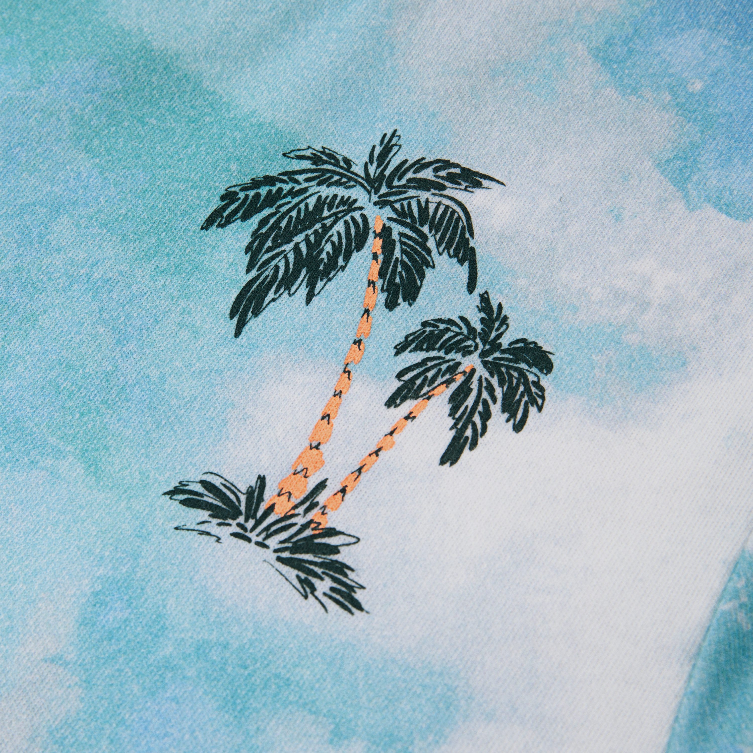 Abercrombie Kids Rundhalsshirt AFB PALM SPRINGS TEE im Batik-Look und mit großem Rückenprint, für Boys