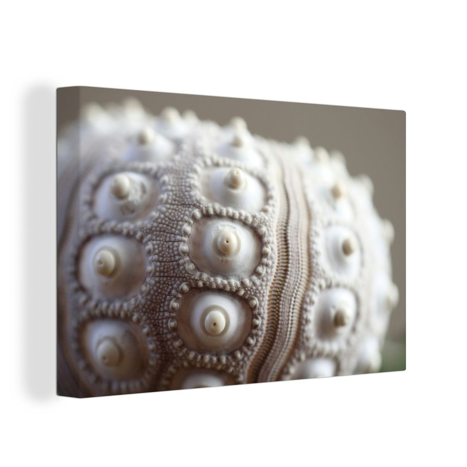 OneMillionCanvasses® Leinwandbild Weiße Schale mit besonderem Muster, (1 St), Wandbild Leinwandbilder, Aufhängefertig, Wanddeko, 30x20 cm | Leinwandbilder