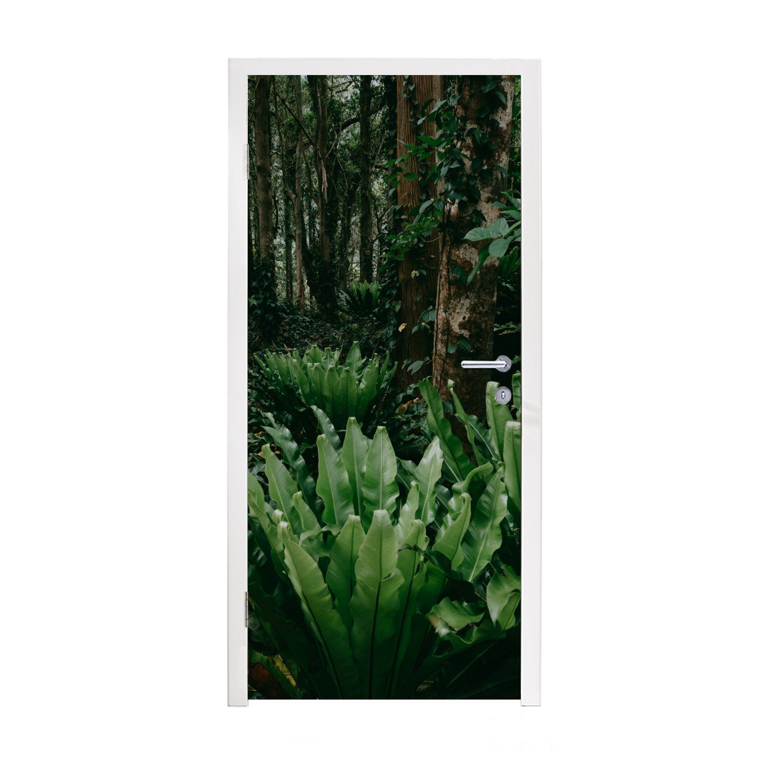 MuchoWow Türtapete Japanischer Dschungel, Matt, (1 für bedruckt, 75x205 Türaufkleber, Fototapete St), cm Tür