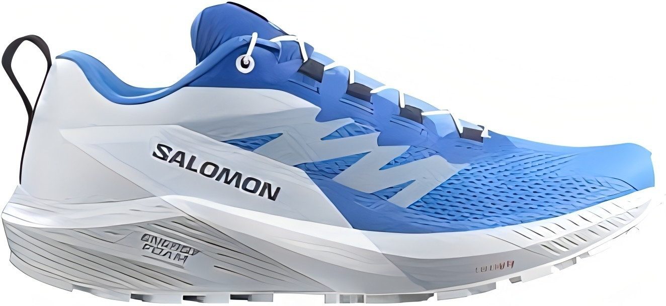 Salomon Sense Ride 5 für Herren günstig online kaufen