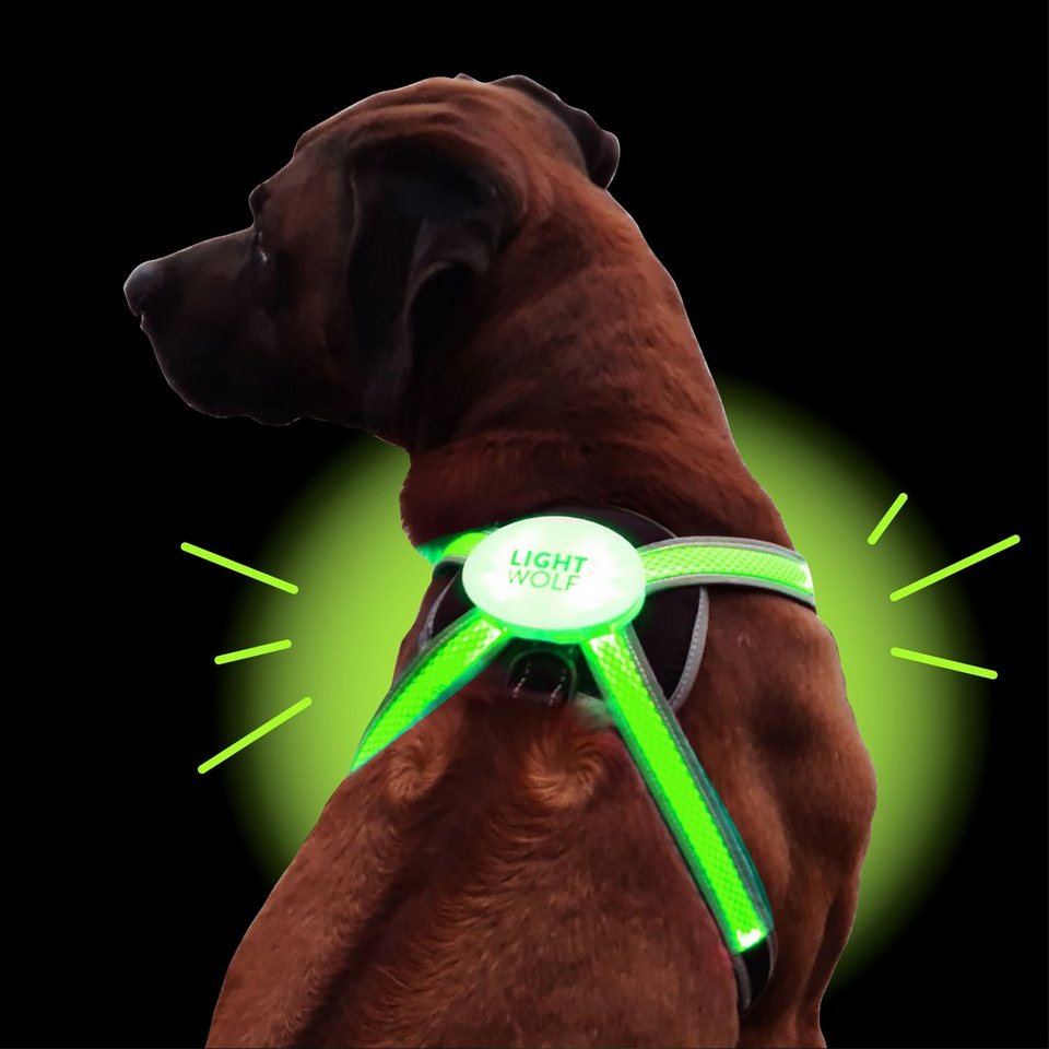 riijk Hundewarnweste »LED Weste«, LED Hundegeschirr USB aufladbar mit 4