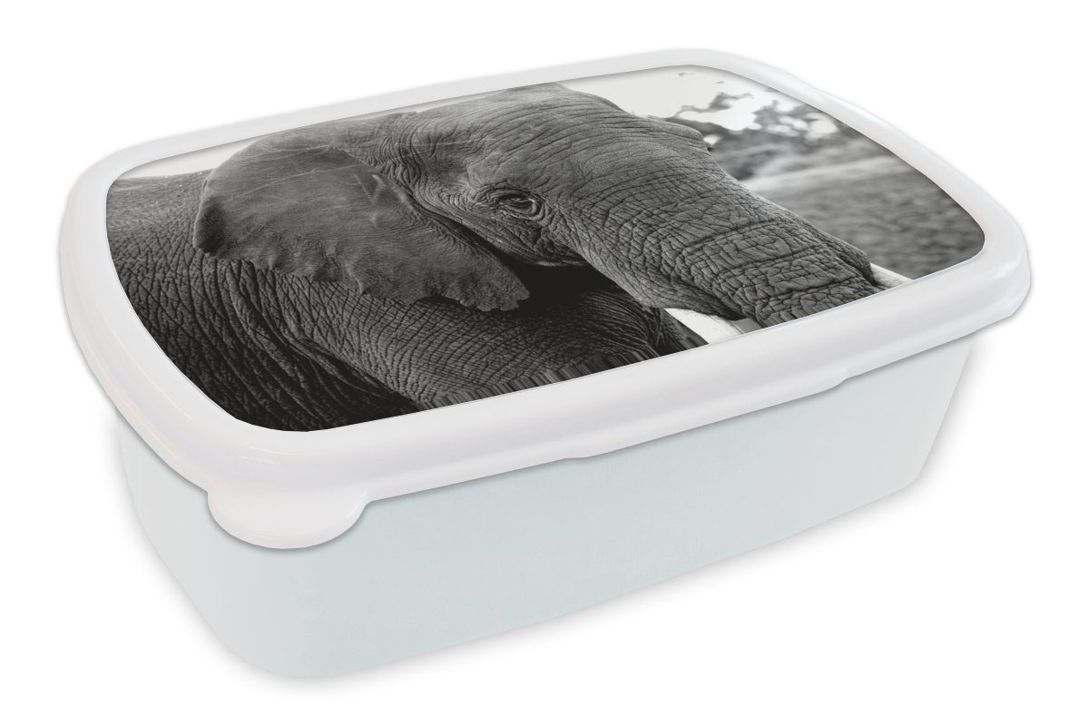 MuchoWow Lunchbox Elefant - Tiere - Schwarz - Weiß - Natur, Kunststoff, (2-tlg), Brotbox für Kinder und Erwachsene, Brotdose, für Jungs und Mädchen
