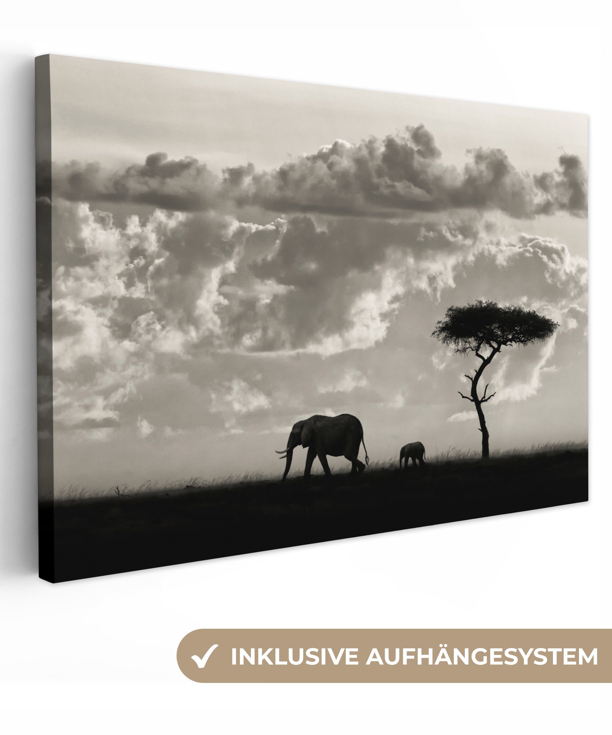 St), Leinwandbilder, (1 - - Leinwandbild Wanddeko, Elefant Natur, - Schwarz OneMillionCanvasses® - 30x20 Wolke Wandbild cm Weiß Aufhängefertig,