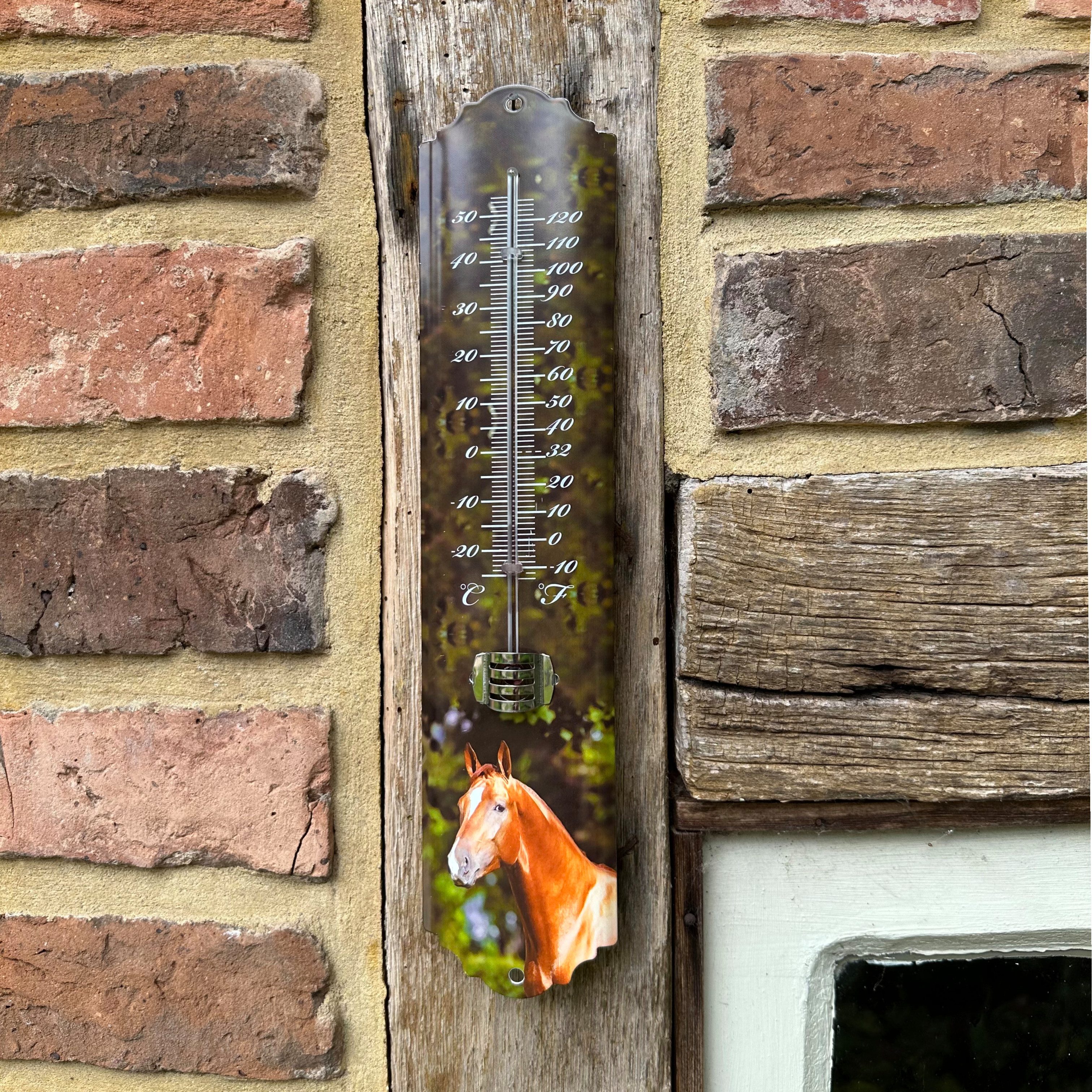 Antikas Windspiel Tierthermometer, aus Eisen, Grün Lackiert, Pferd Motiv