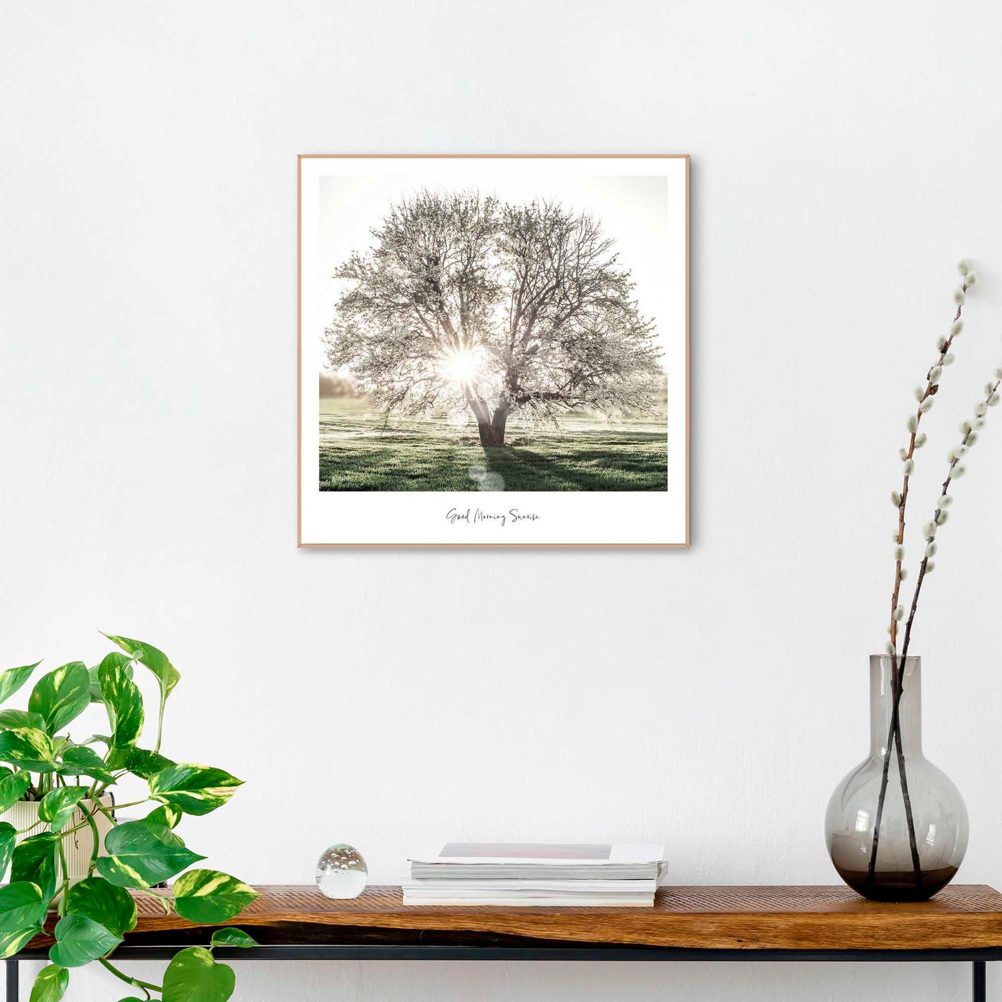 Reinders! Poster Morgensonne günstig online kaufen