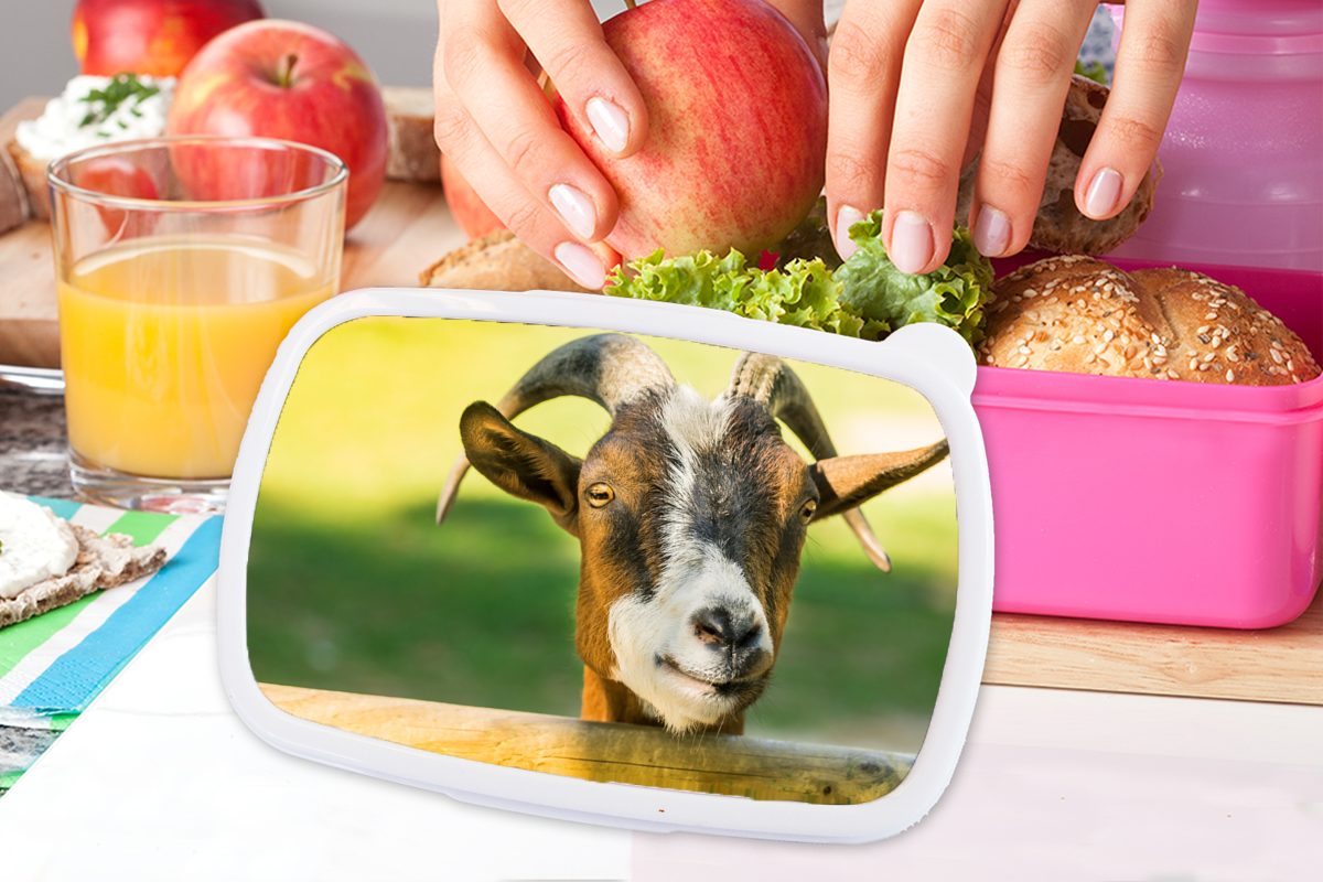 MuchoWow Lunchbox Ziege - Snackbox, rosa Erwachsene, (2-tlg), - Zaun - Kinder, Brotdose Horn, Kunststoff, Mädchen, Kunststoff Brotbox für Tiere