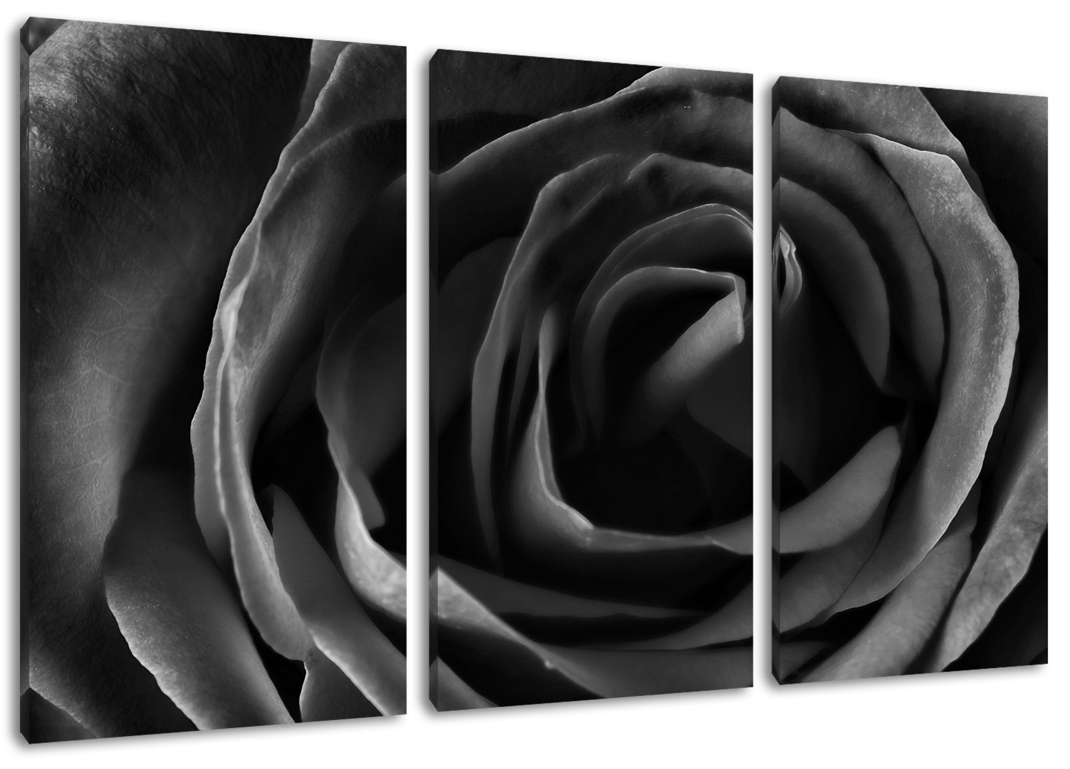 Neuware Pixxprint Leinwandbild Rote Leinwandbild bespannt, Rote inkl. 3Teiler Zackenaufhänger (1 Rose St), fertig (120x80cm) Rose