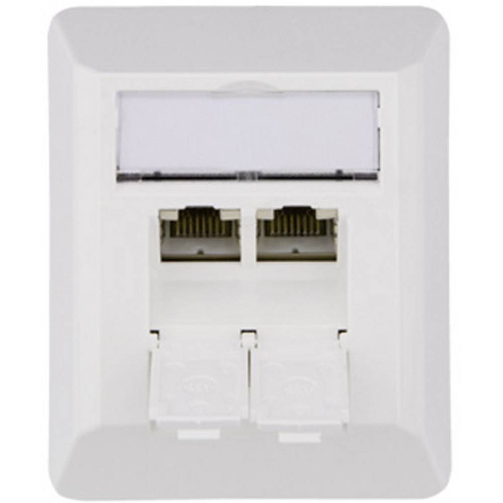 Netzwerk-Anschlussdose CAT 6A mit 2 RJ45 Buchsen Netzwerk-Adapter