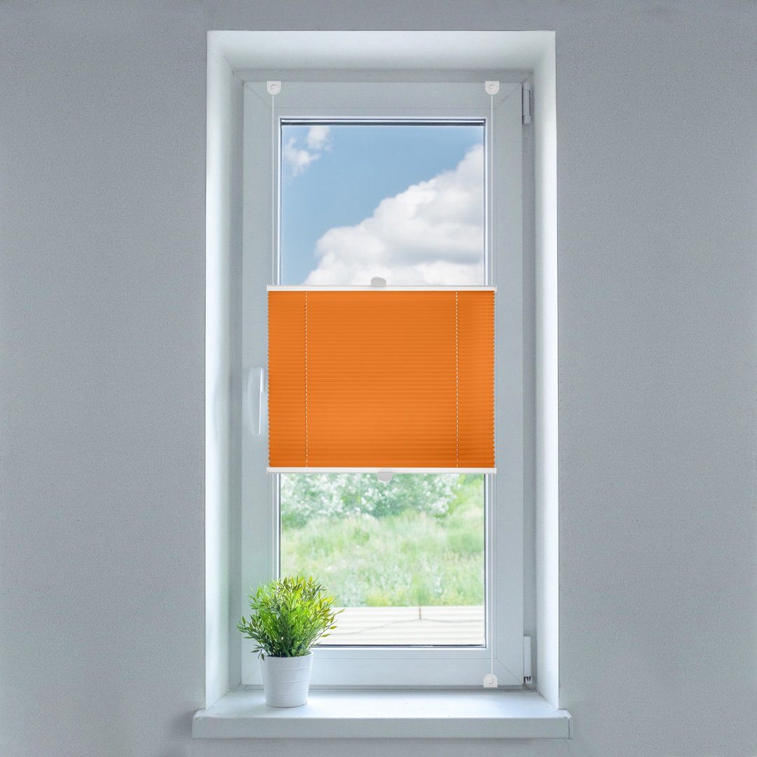 SN DECO GROUP Plissee, Klemmfix, Montage ohne Bohren günstig online kaufen