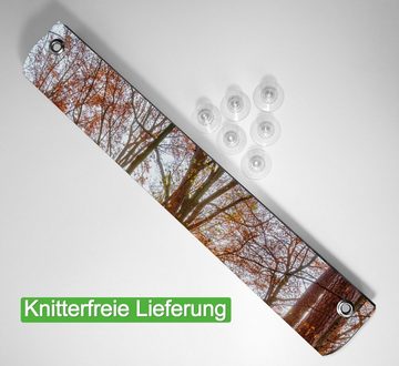 Sonnenschutz Sonnenuntergang im herbstlichen Wald, Wallario, blickdicht, mit Saugnäpfen, wiederablösbar und wiederverwendbar