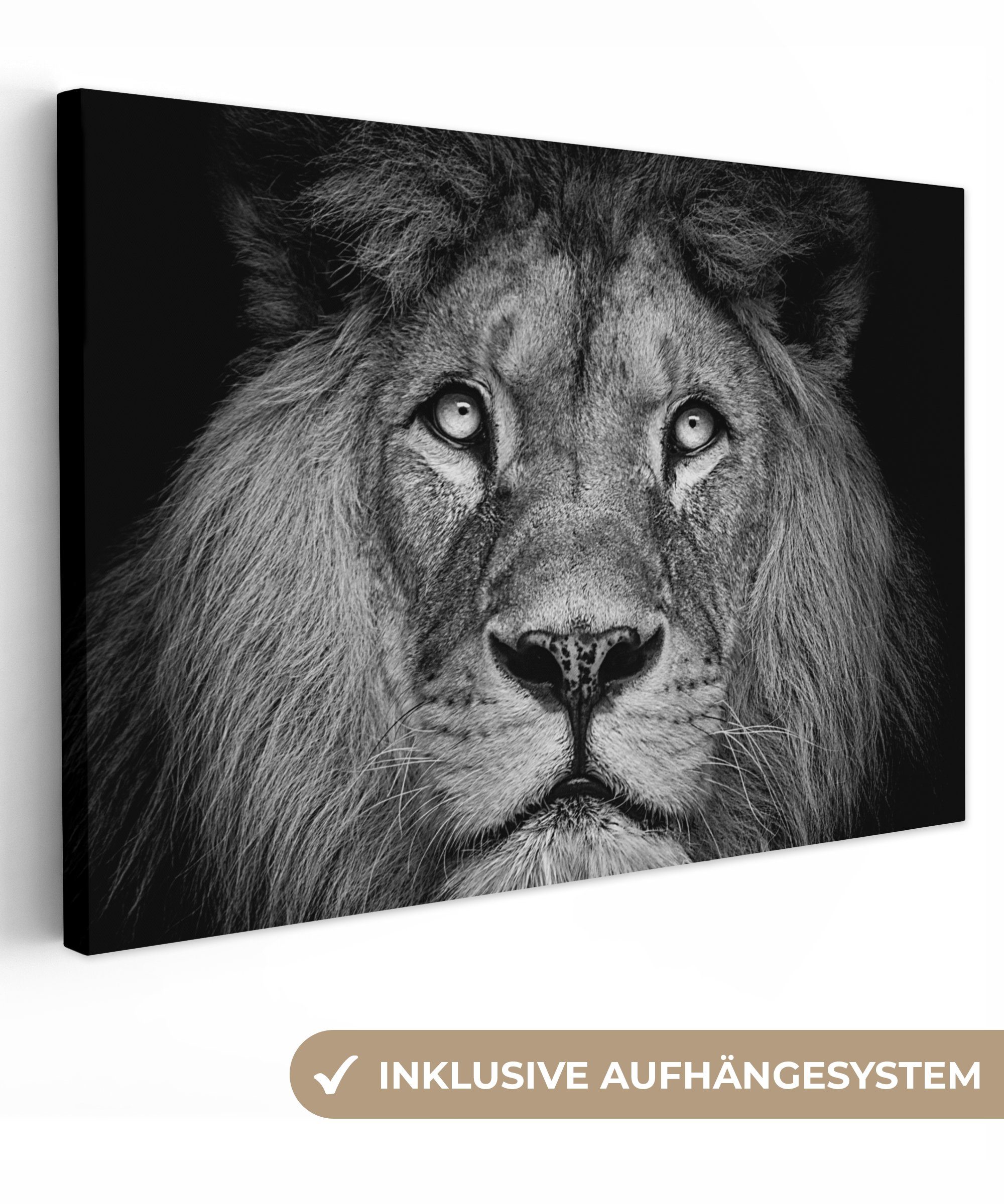 OneMillionCanvasses® Leinwandbild Löwe - Porträt - günstig online kaufen