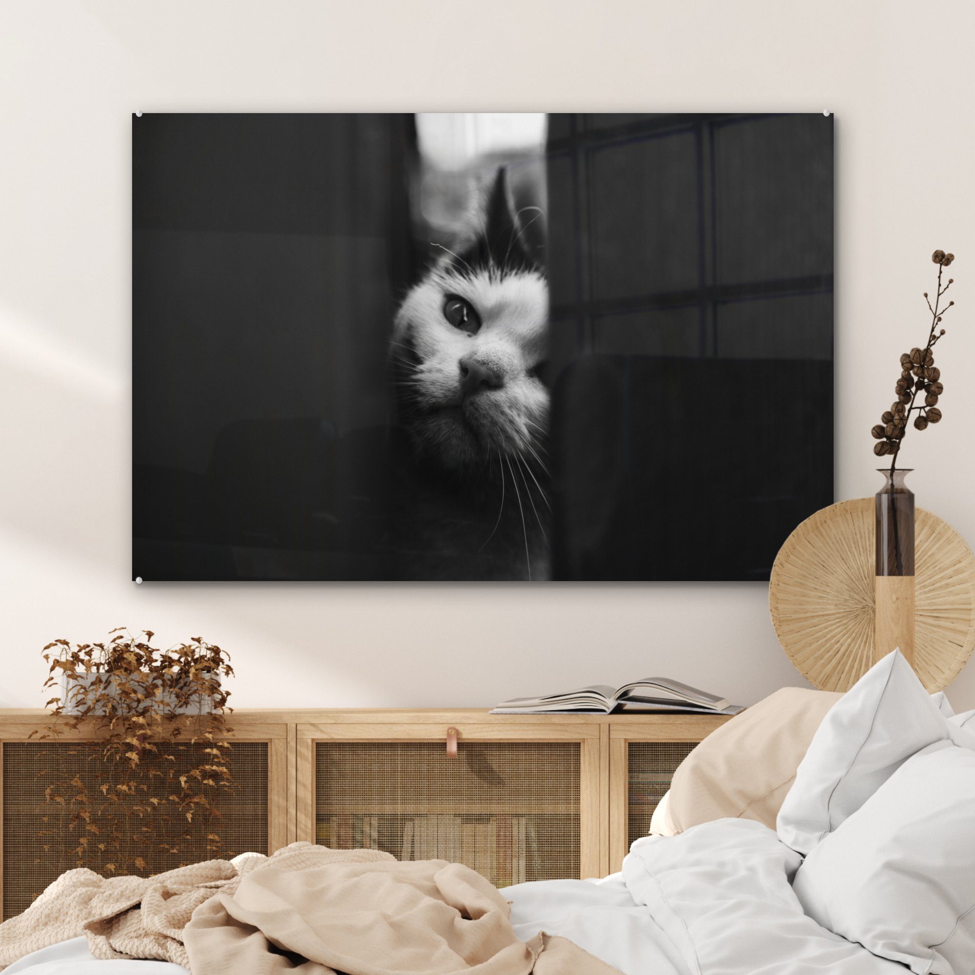 MuchoWow Acrylglasbild Tierprofil und weiß, & Katze Acrylglasbilder Schlafzimmer in St), (1 Spionage schwarz Wohnzimmer