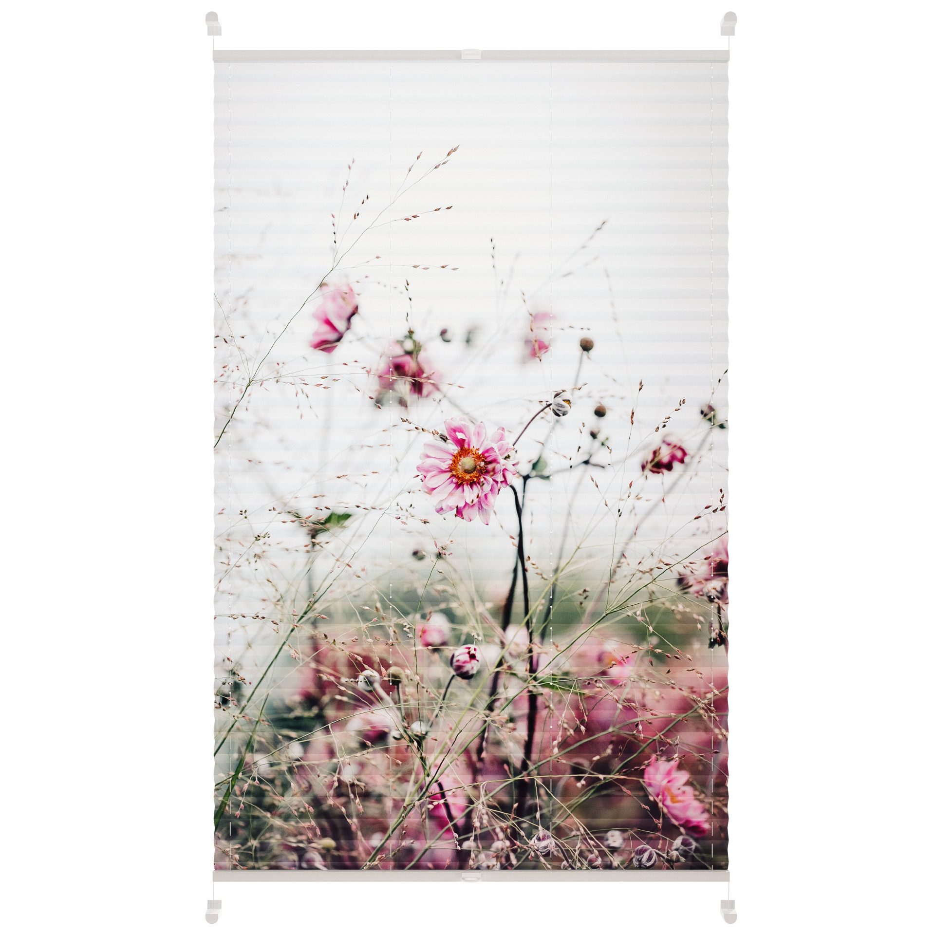 Roomy Plissee Plissee, Klemmbar günstig online kaufen