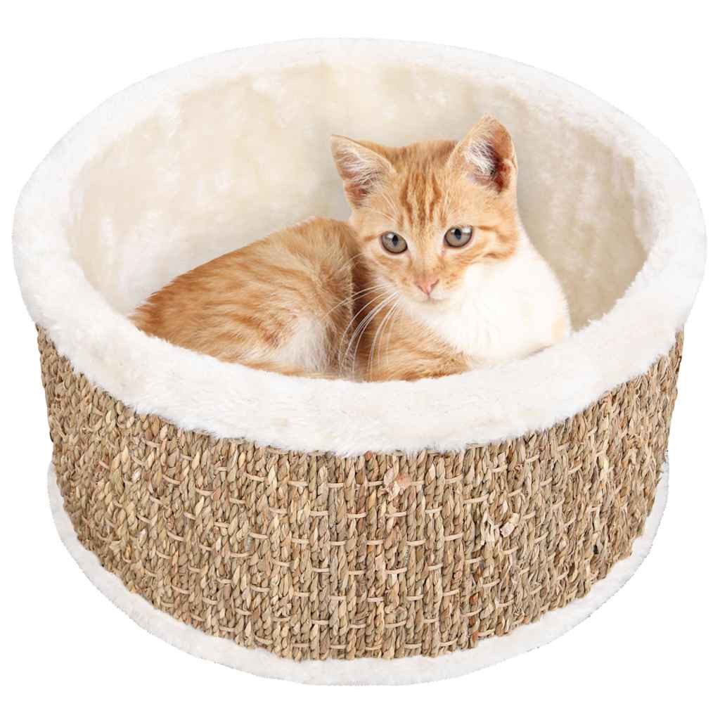 ANYSUN Tierbett Katzenbett waschbar mit Seegras-Kratzfläche Rundes, Premium-Plüsch, tierbedarf katze 36 x 18 cm (Durchmesser x Höhe)
