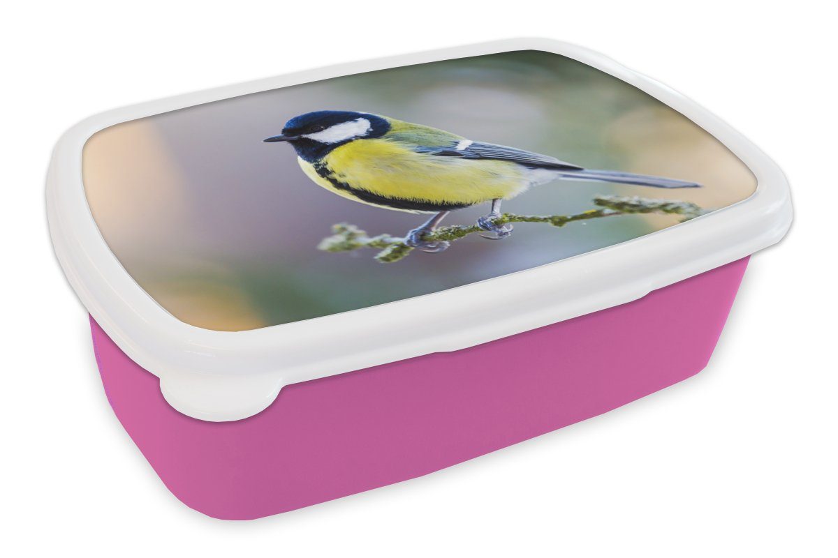 MuchoWow Lunchbox Kohlmeise - Vogel - Zweig, Kunststoff, (2-tlg), Brotbox für Erwachsene, Brotdose Kinder, Snackbox, Mädchen, Kunststoff rosa