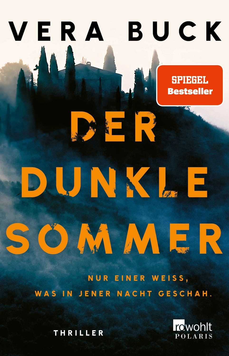 Der dunkle Sommer / Vera Buck