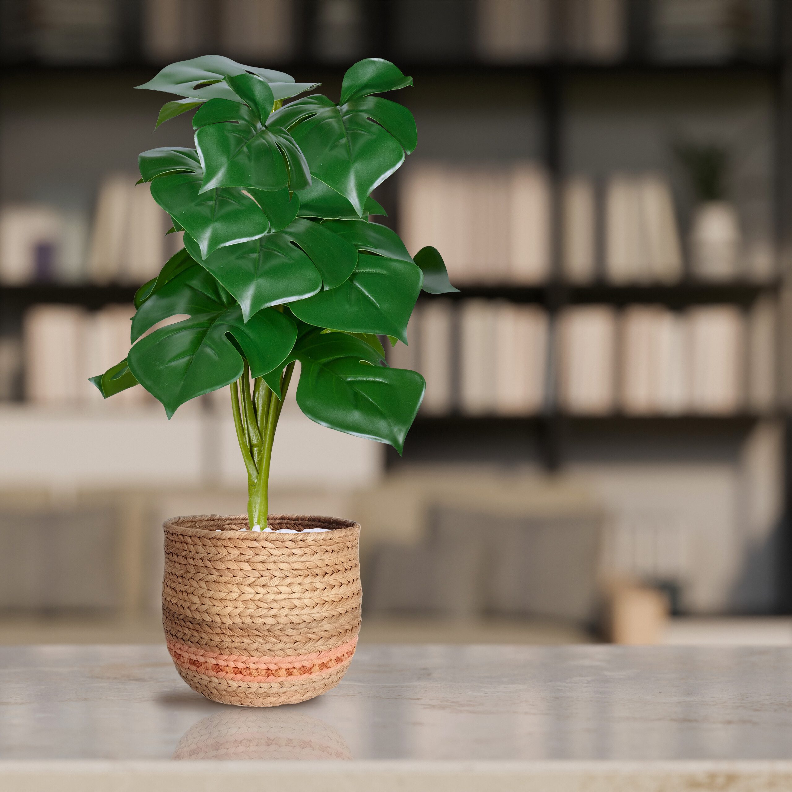 Kunstpflanze Monstera 2er Set, relaxdays, Höhe günstig online kaufen