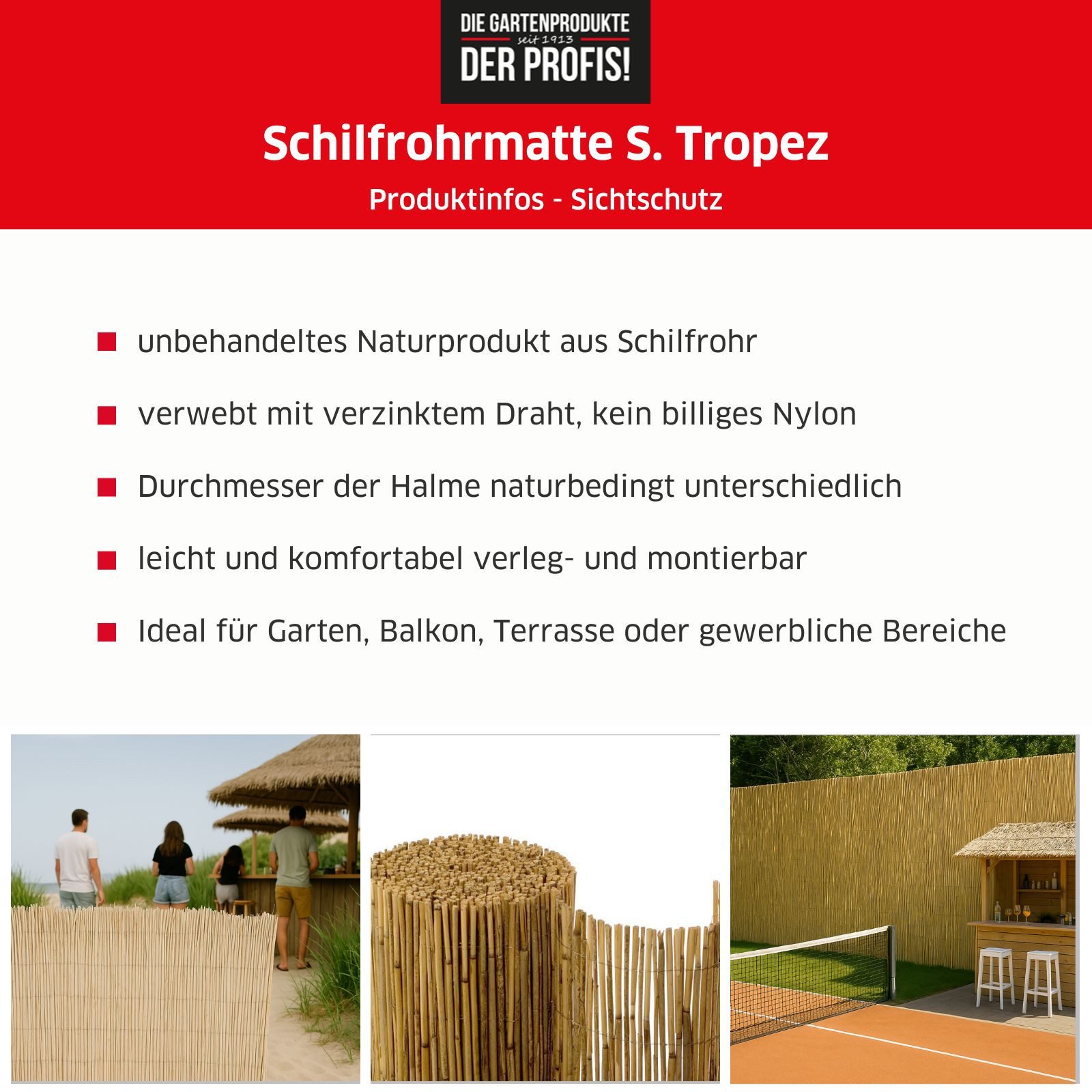 NOOR Sichtschutzzaunmatten Schilfrohrmatte ST. TROPEZ, natürlicher Sichtschutz aus Schilf