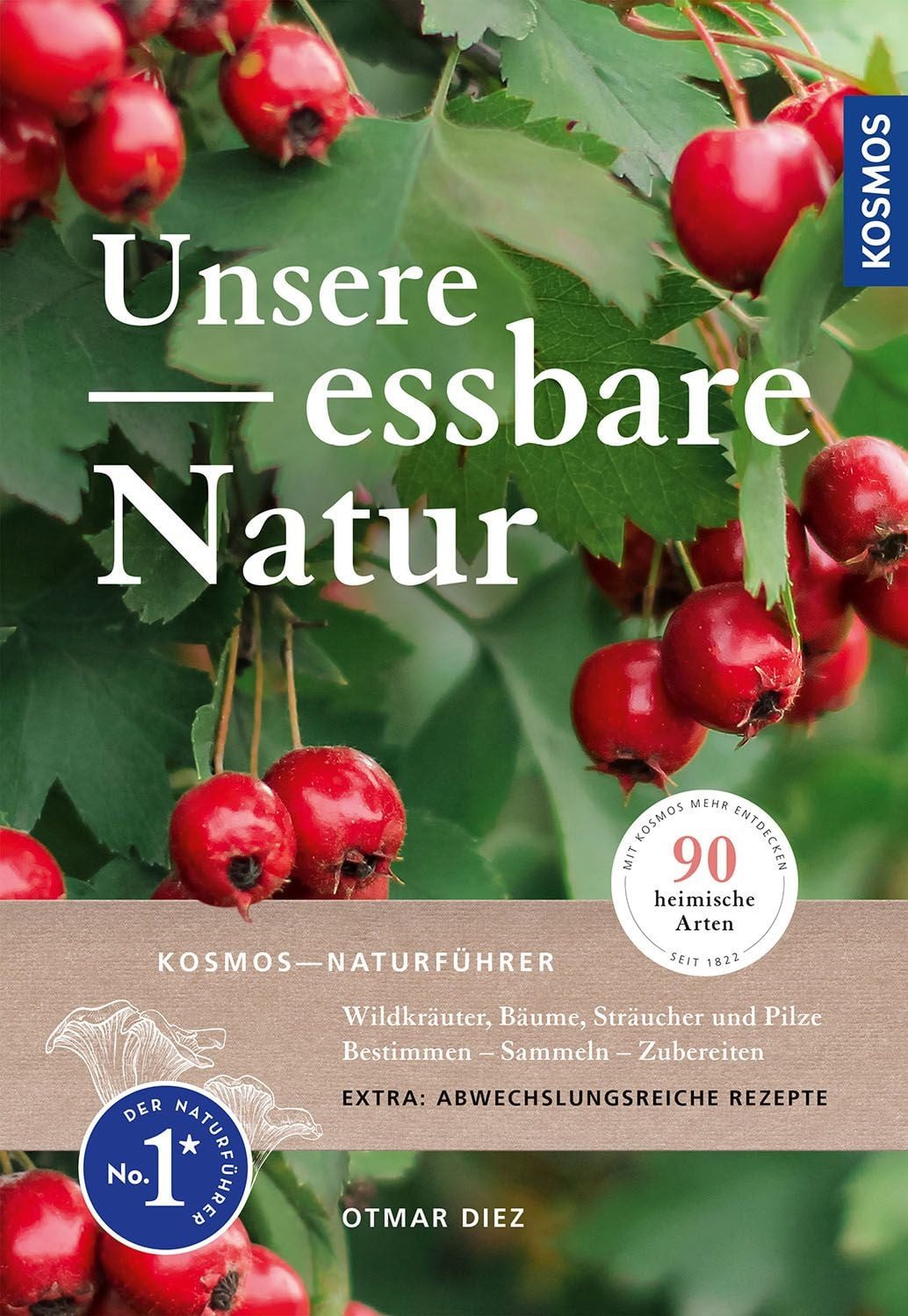 Unsere essbare Natur Wildkräuter, Bäume, Sträucher und Pilze bestimmen / Otmar Diez, Wildkräuter, Bäume, Sträucher und Pilze bestimmen, sammeln, zubereiten, 90 heimische Arten in über 500 Fotos und Zeichnungen, mehr als 120 Rezepte