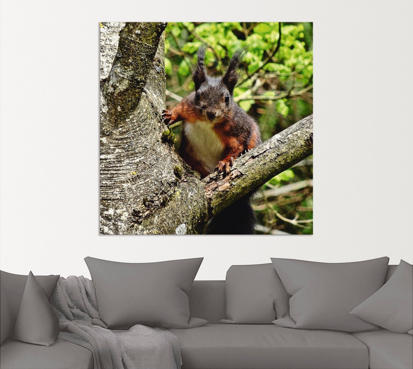 Artland Wandbild »Eichhörnchen Blick«, Wildtiere (1 Stück), in vielen Größen & Produktarten - Alubild / Outdoorbild für den Außenbereich, Leinwandbild, Poster, Wandaufkleber / Wandtattoo auch für Badezimmer geeignet-kaufen