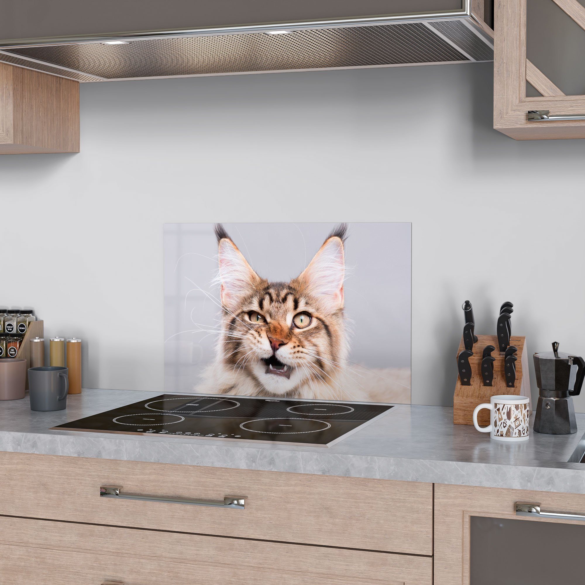 faucht', DEQORI 'Maine Coon Glas Herdblende Badrückwand Küchenrückwand Katze Spritzschutz