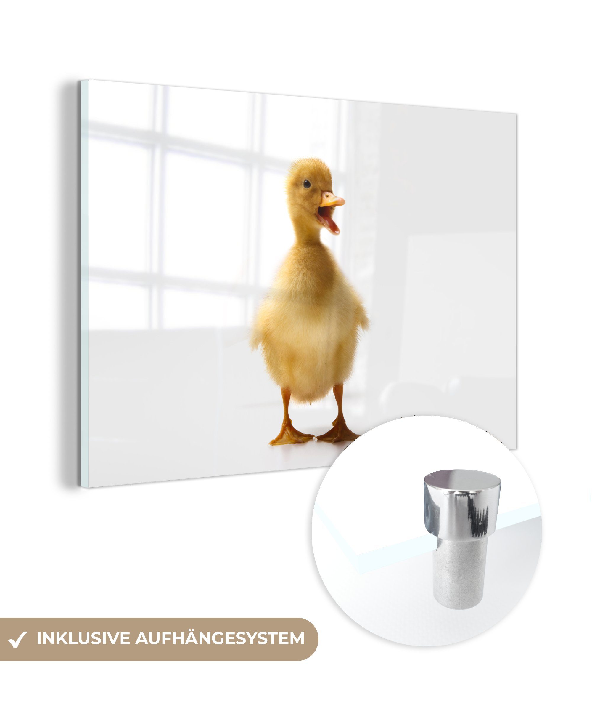 MuchoWow Acrylglasbild Baby-Ente kommuniziert, (1 St), Acrylglasbilder Wohnzimmer & Schlafzimmer