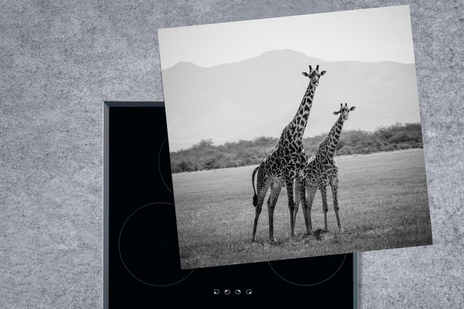 Giraffen 78x78 küche Feld Herdblende-/Abdeckplatte Weiß, cm, für in einem und Vinyl, Schwarz Ceranfeldabdeckung, Zwei tlg), stehen Arbeitsplatte MuchoWow in (1