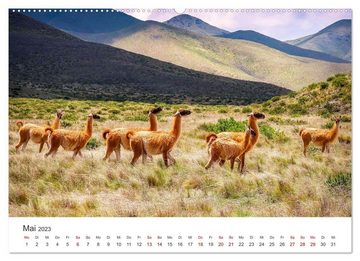 CALVENDO Wandkalender Lamas und Alpakas - Die weichen Neuweltkamele. (Premium, hochwertiger DIN A2 Wandkalender 2023, Kunstdruck in Hochglanz)