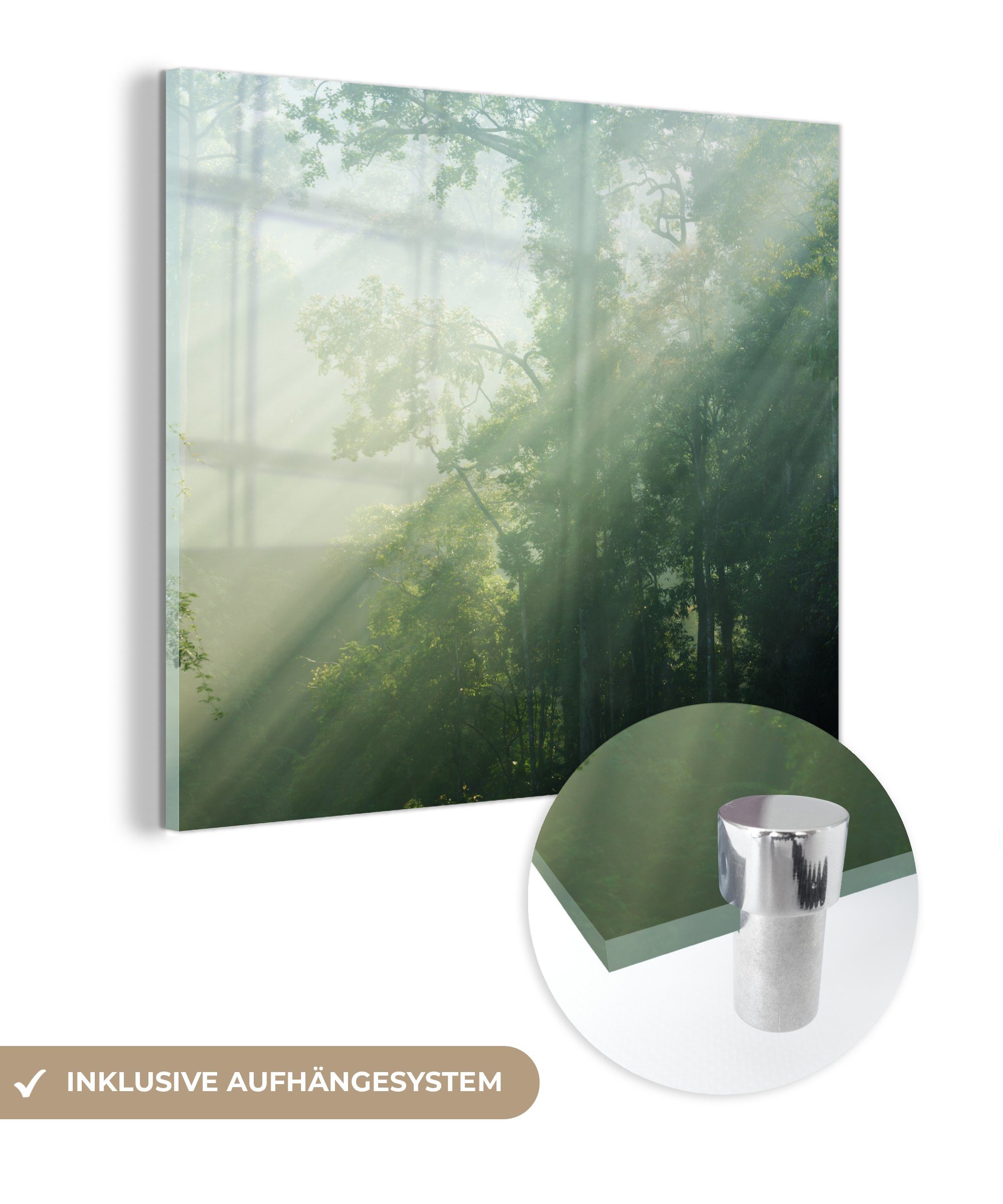 MuchoWow Acrylglasbild Sonnenstrahlen in einem grünen Wald in Malaysia, (1 St), Glasbilder - Bilder auf Glas Wandbild - Foto auf Glas - Wanddekoration