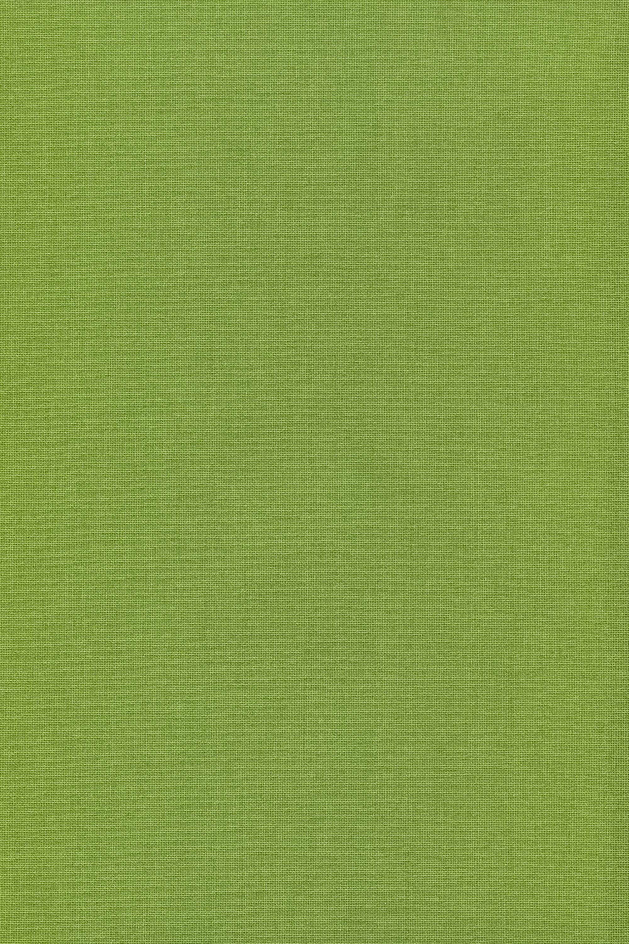 Apfelgrün, HxB 175x102.5cm LYSEL®, blickdicht, Rollo Basisrollo Tageslicht