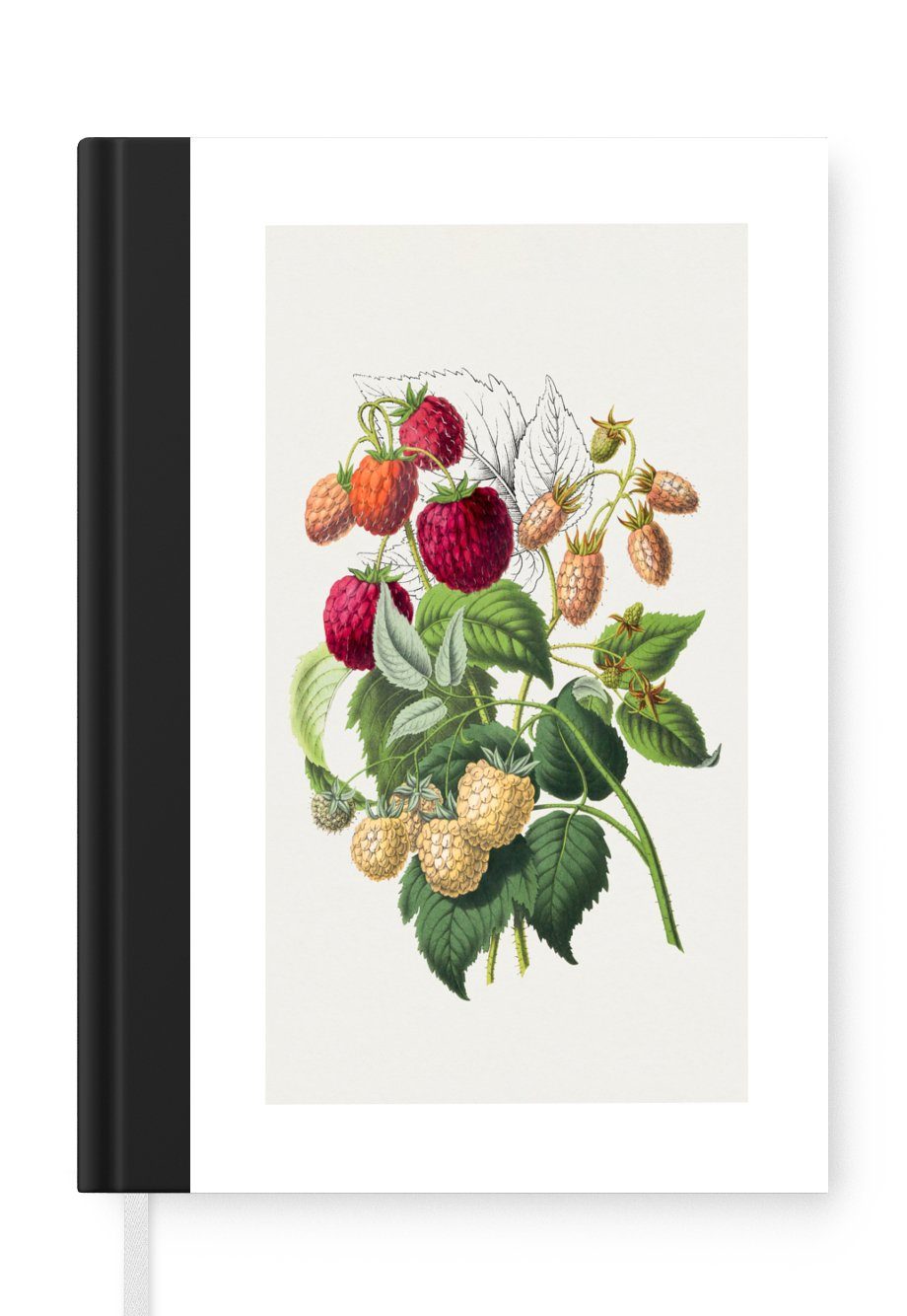 MuchoWow Notizbuch Himbeeren - Obst - Lebensmittel, Journal, Merkzettel, Tagebuch, Notizheft, A5, 98 Seiten, Haushaltsbuch