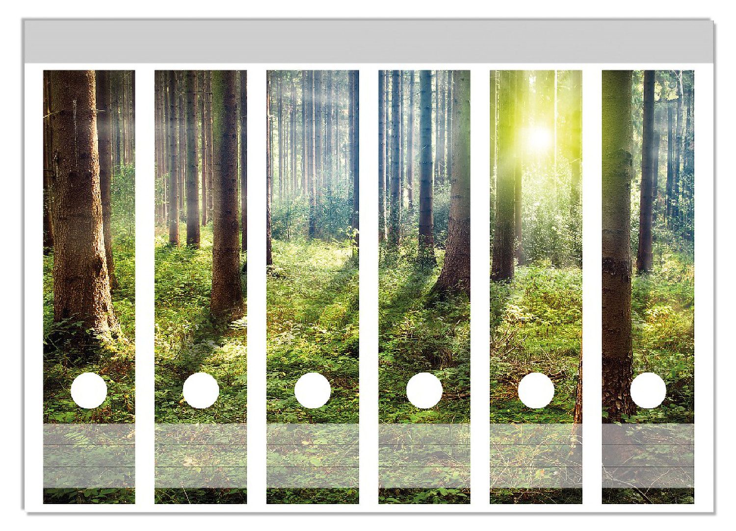 Wallario Ярлыки Sonnenuntergang im Wald zwischen den Bäumen, Папки с файламиrücken-Sticker in verschiedenen Ausführungen