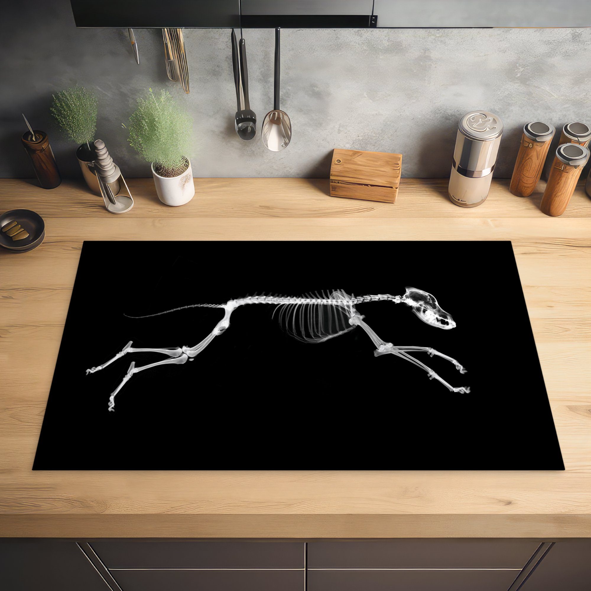 MuchoWow Herdblende-/Abdeckplatte Skelett eines Arbeitsplatte cm, tlg), Ceranfeldabdeckung, küche Vinyl, Hundes, laufenden 83x51 für (1