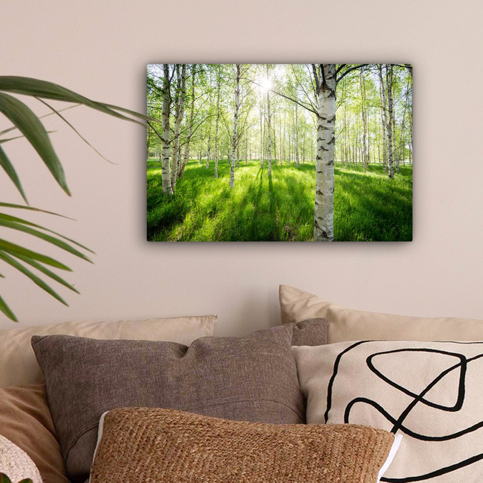 OneMillionCanvasses® Leinwandbild Birke - Wald - günstig online kaufen