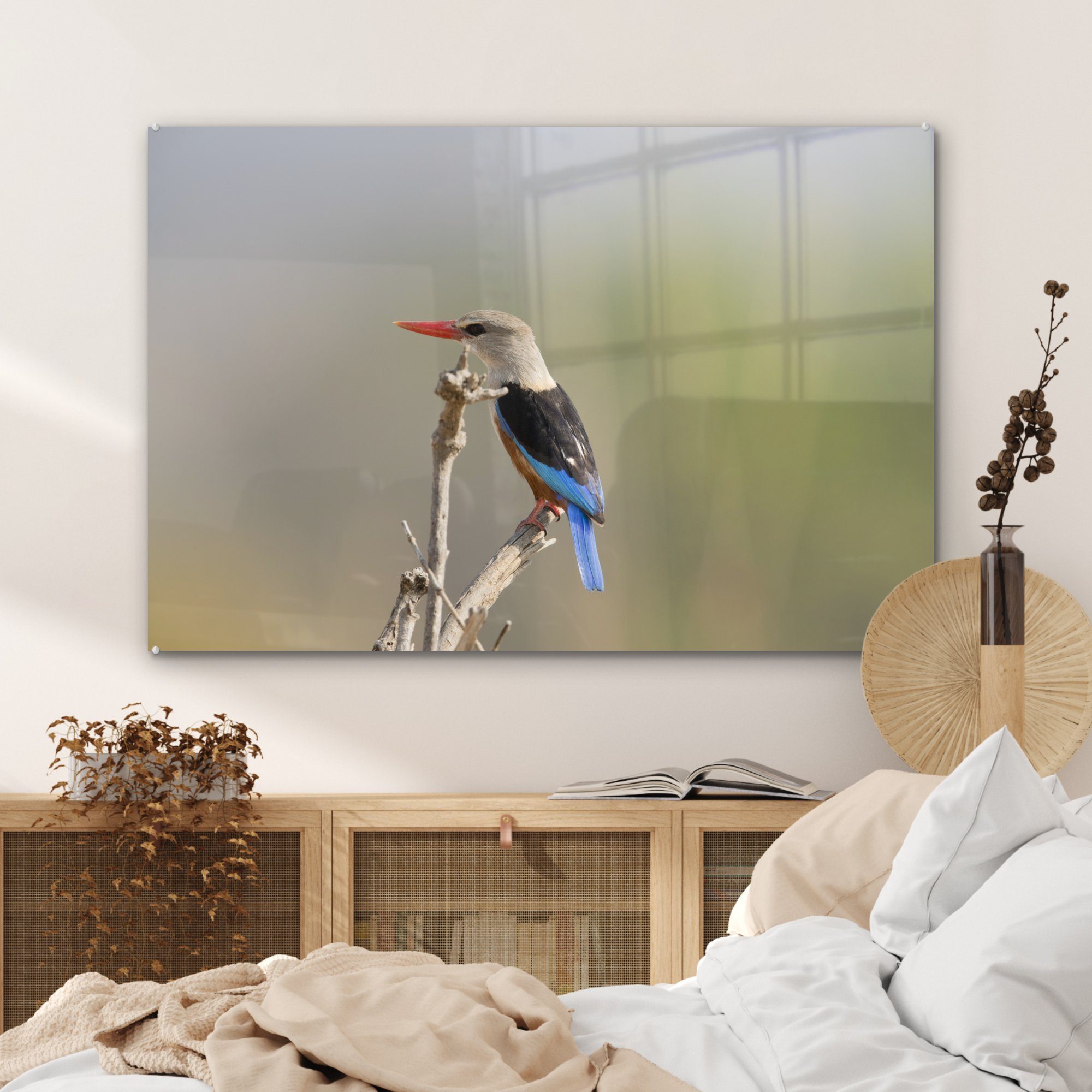 MuchoWow Acrylglasbild Graukopfliest klettert Spitze Acrylglasbilder St), die Schlafzimmer auf Astes, eines & (1 Wohnzimmer