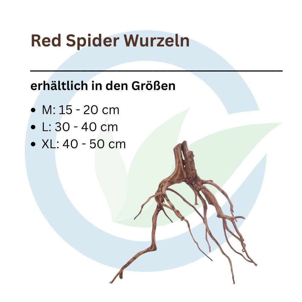 Aquaone Aquarium Red Spider Wurzel M 15-20 cm