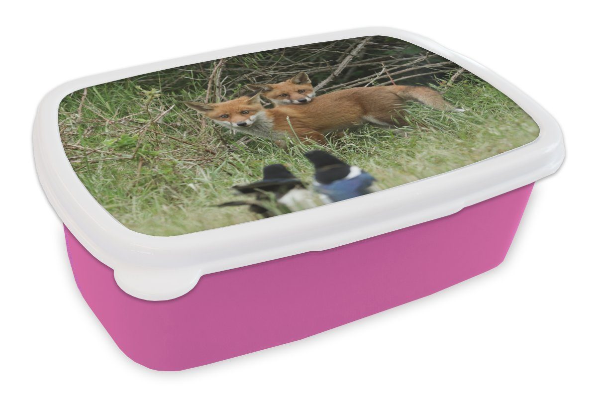 MuchoWow Lunchbox Tiere - Vogel - Füchse, Kunststoff, (2-tlg), Brotbox für Erwachsene, Brotdose Kinder, Snackbox, Mädchen, Kunststoff rosa
