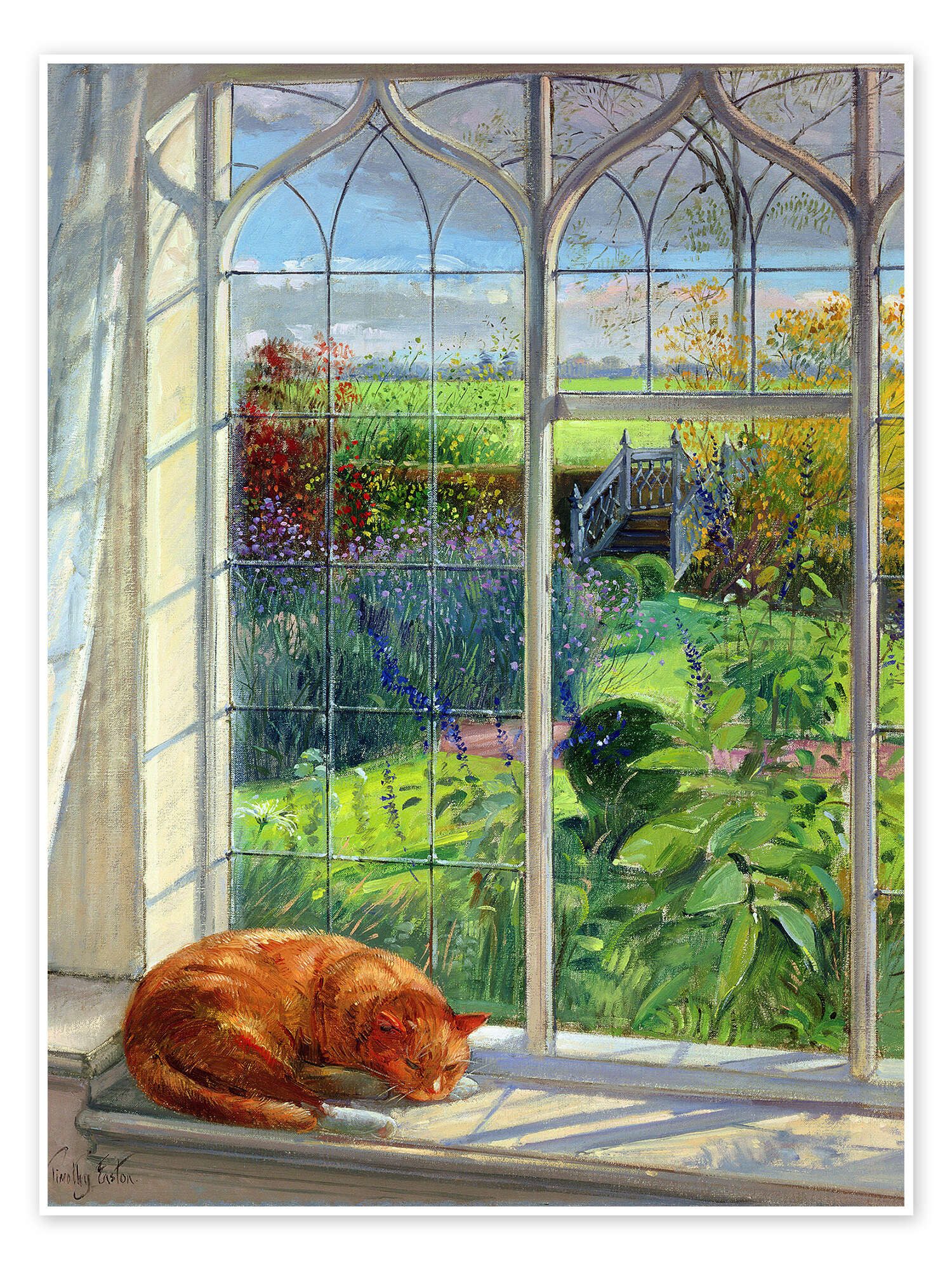 Posterlounge Wandbild Katze im Fenster, Sommer, Timothy Easton, erhältlich als Poster, Leinwandbild, Wandsticker oder Acrylglasbild