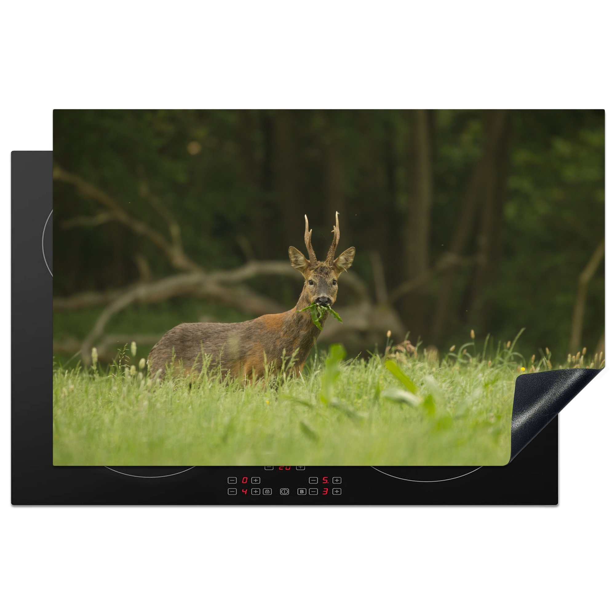 Herdblende-/Abdeckplatte Schutz Wald, Gras Ceranfeldabdeckung MuchoWow die Hirsche (1 küche, - cm, tlg), 81x52 Induktionskochfeld Vinyl, - für