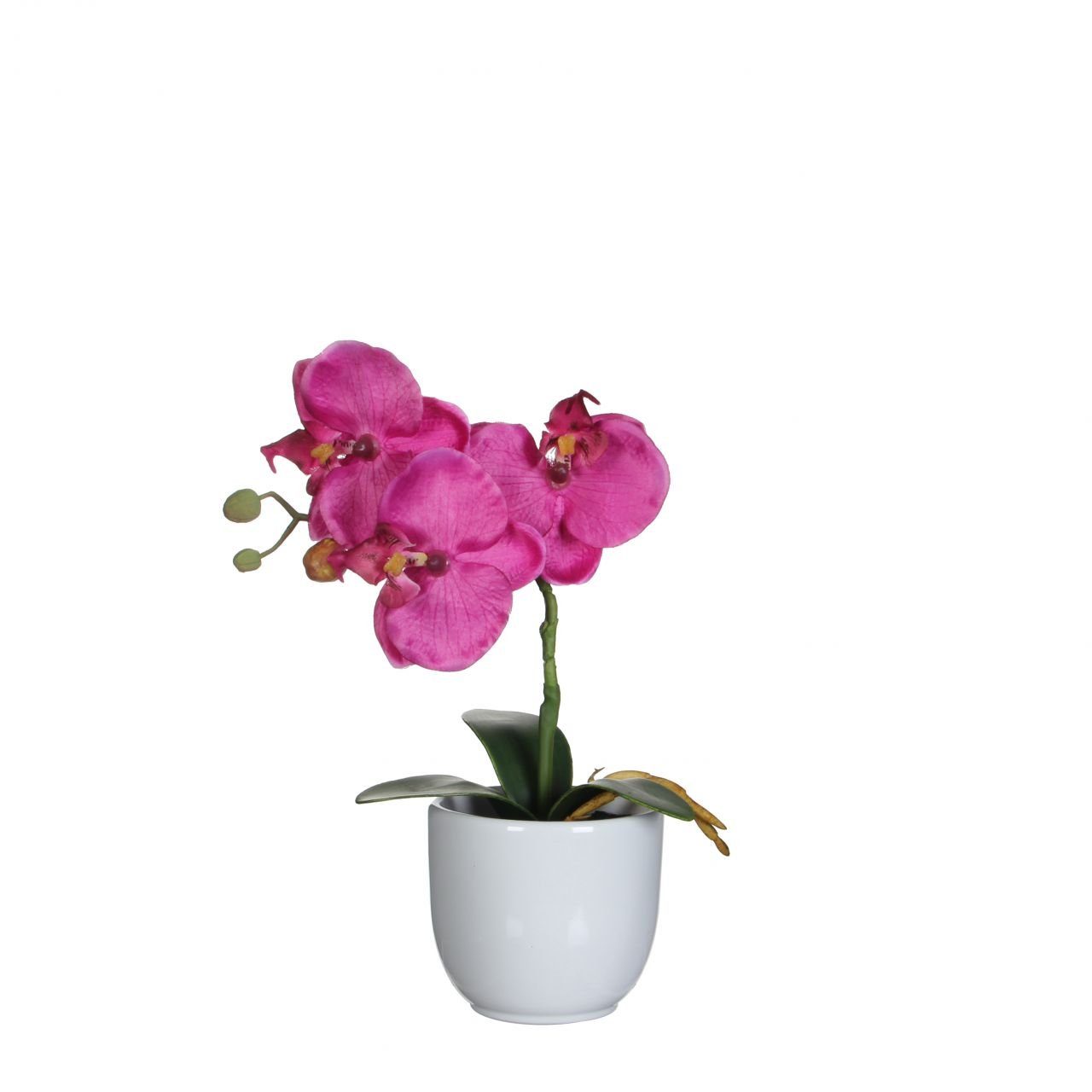 im Decorations Mica Phalaenopsis Topf violett, 26, Kunstpflanze Mica Kunstpflanze
