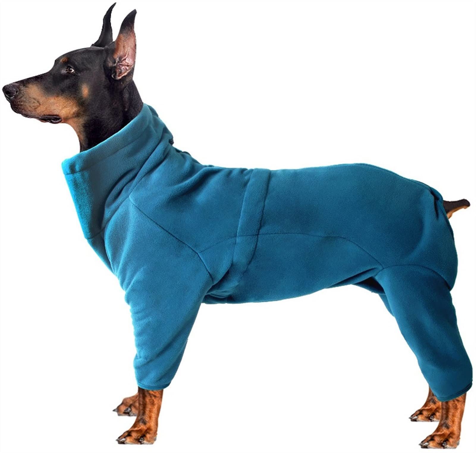 trockenfutter durchfall hund Schonkost | Insekten Hundefutter für sensible Hunde | Trockenfutter main image 1
