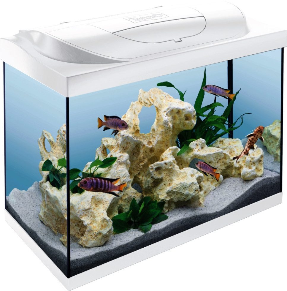 Tetra Aquarium Tetra Aquarium Starter Line LED 80 L weiß