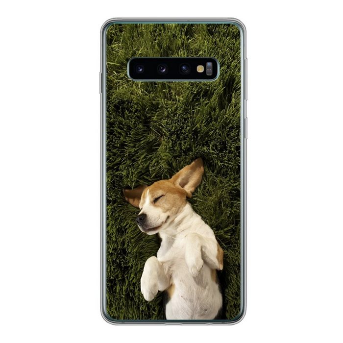 MuchoWow Handyhülle Im Gras schlafender Hund Phone Case Handyhülle Samsung Galaxy S10 Silikon Schutzhülle