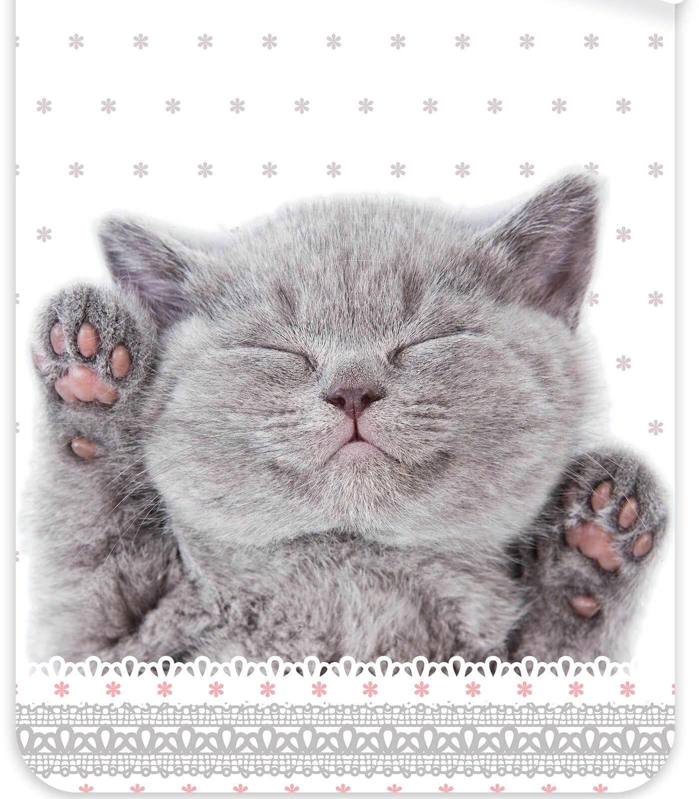 Carbotex Bettwäsche Katze - Bettwäsche-Set mit Katzenbaby-Motiv, 135x200 & 80x80 cm, Baumwolle, 100% Baumwolle