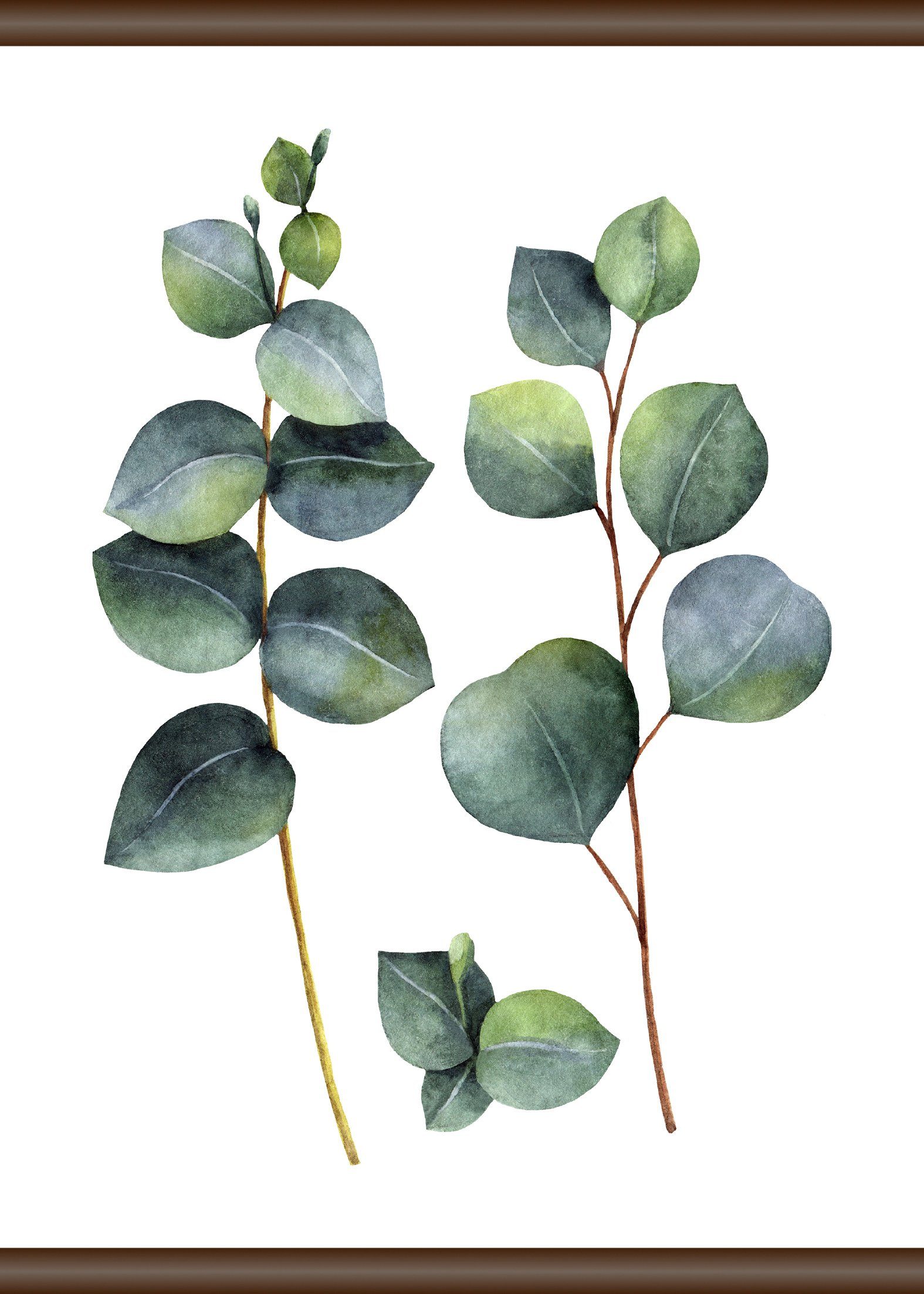 Leinwandbild Mit beeindruckenden Bildqualität 50x70 cm, und Eukalyptus Farben queence Pflanze, hervorragender