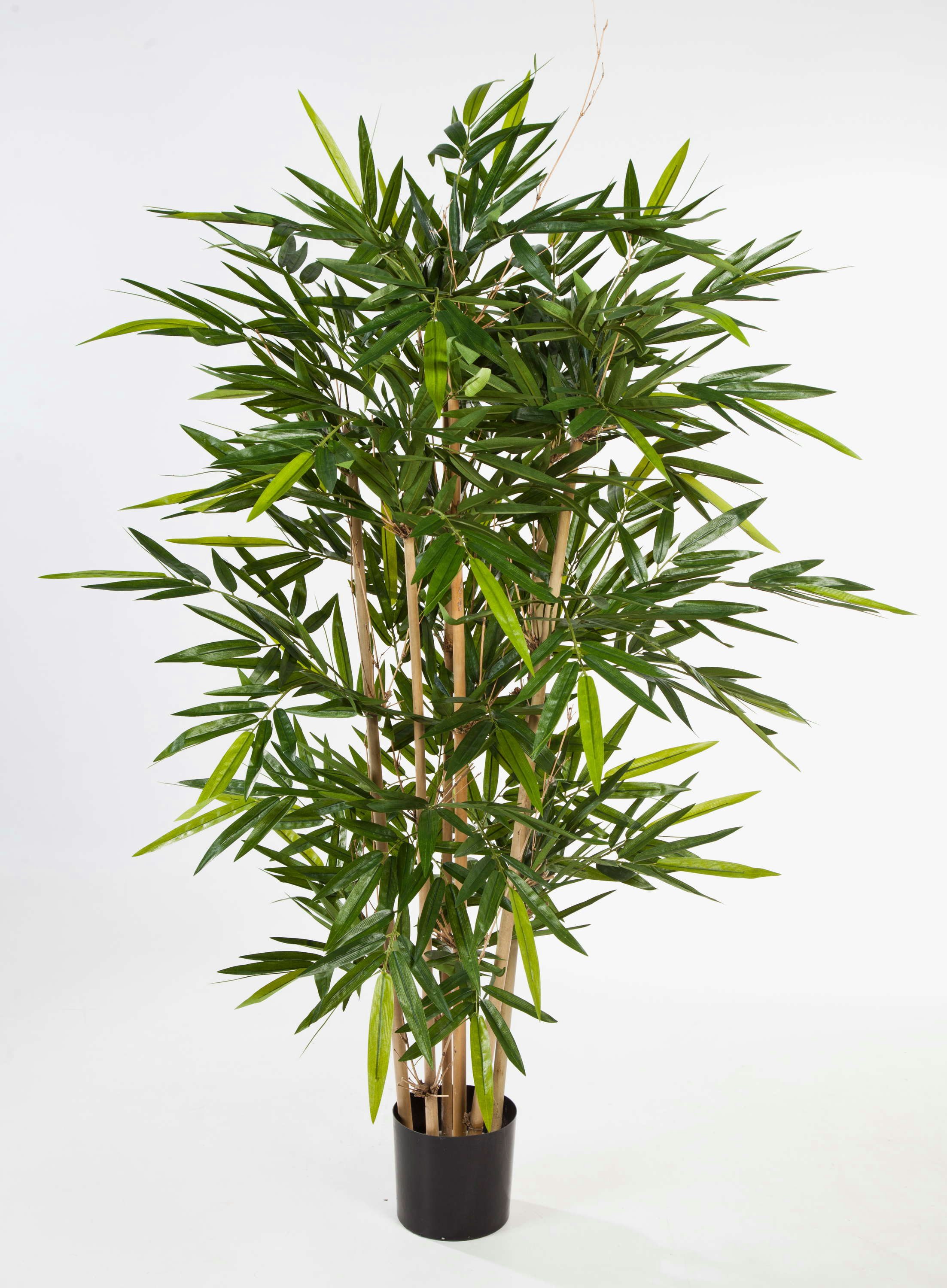 Kunstbambus Künstlicher Bambus Tarik, 512 Blätter, 120cm - naturgetreu Bambus, artplants, Höhe 120.0 cm