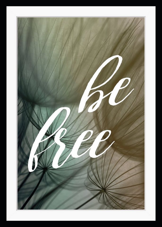 queence Bild be free, Sprüche & Texte, gerahmt, Pusteblume, Spruch