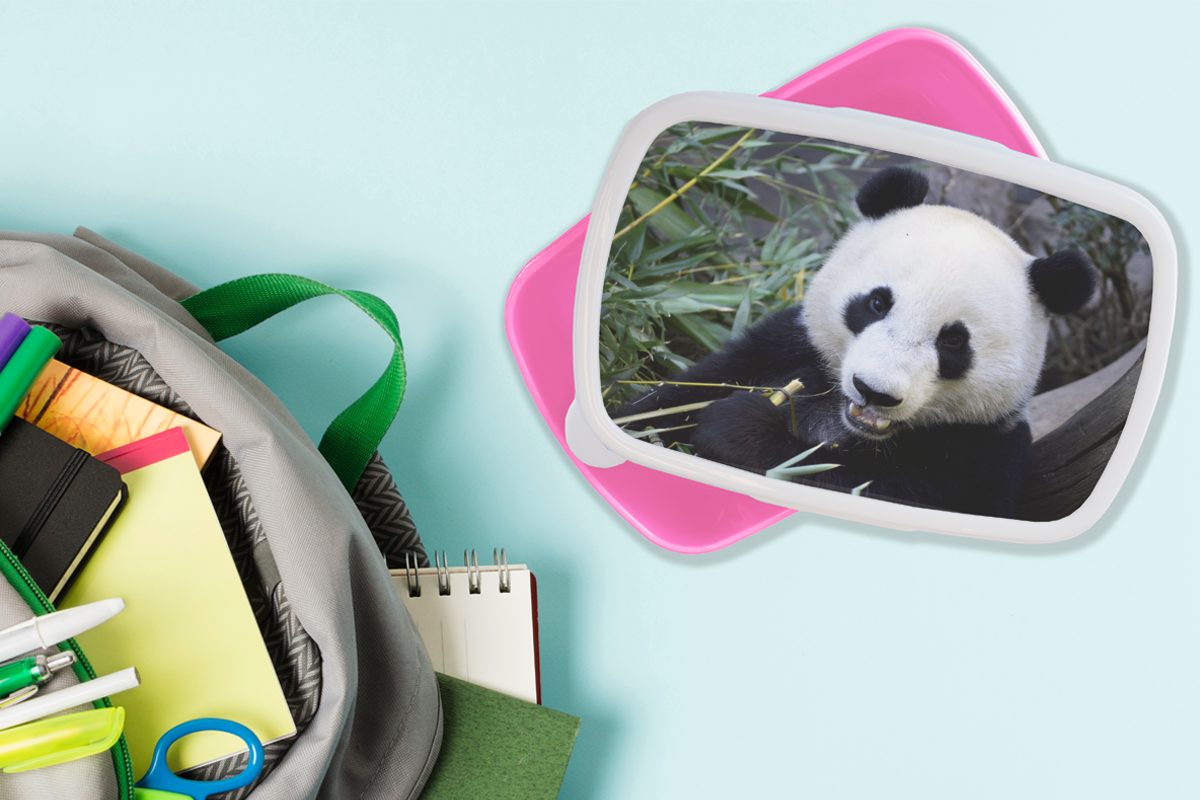 - Kunststoff Erwachsene, Tier für Blätter, - Brotbox Mädchen, Lunchbox MuchoWow (2-tlg), Kinder, Brotdose Snackbox, rosa Kunststoff, Panda
