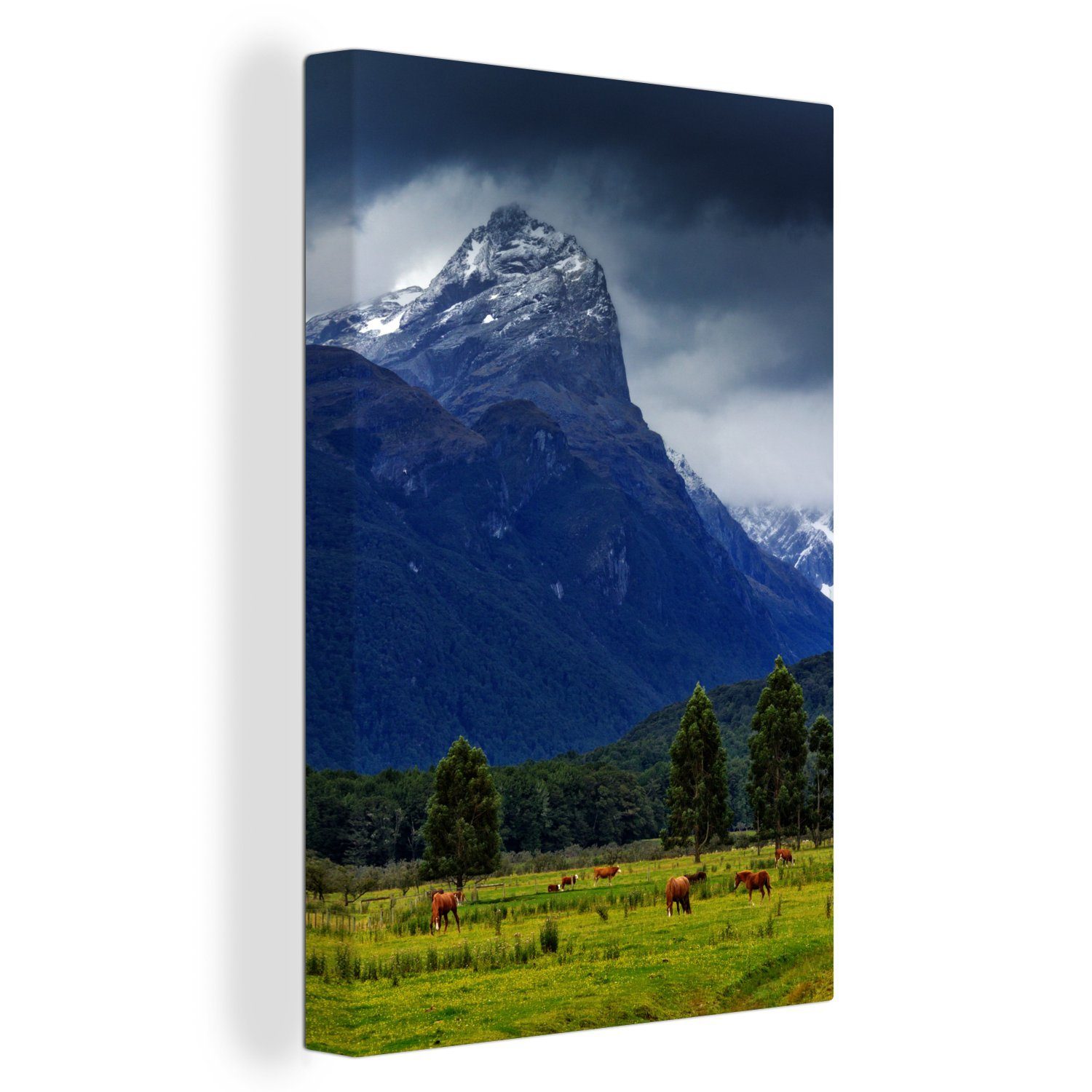 OneMillionCanvasses® Leinwandbild Wiese im Mount Aspiring National Park in Neuseeland, (1 St), Leinwandbild fertig bespannt inkl. Zackenaufhänger, Gemälde, 20x30 cm
