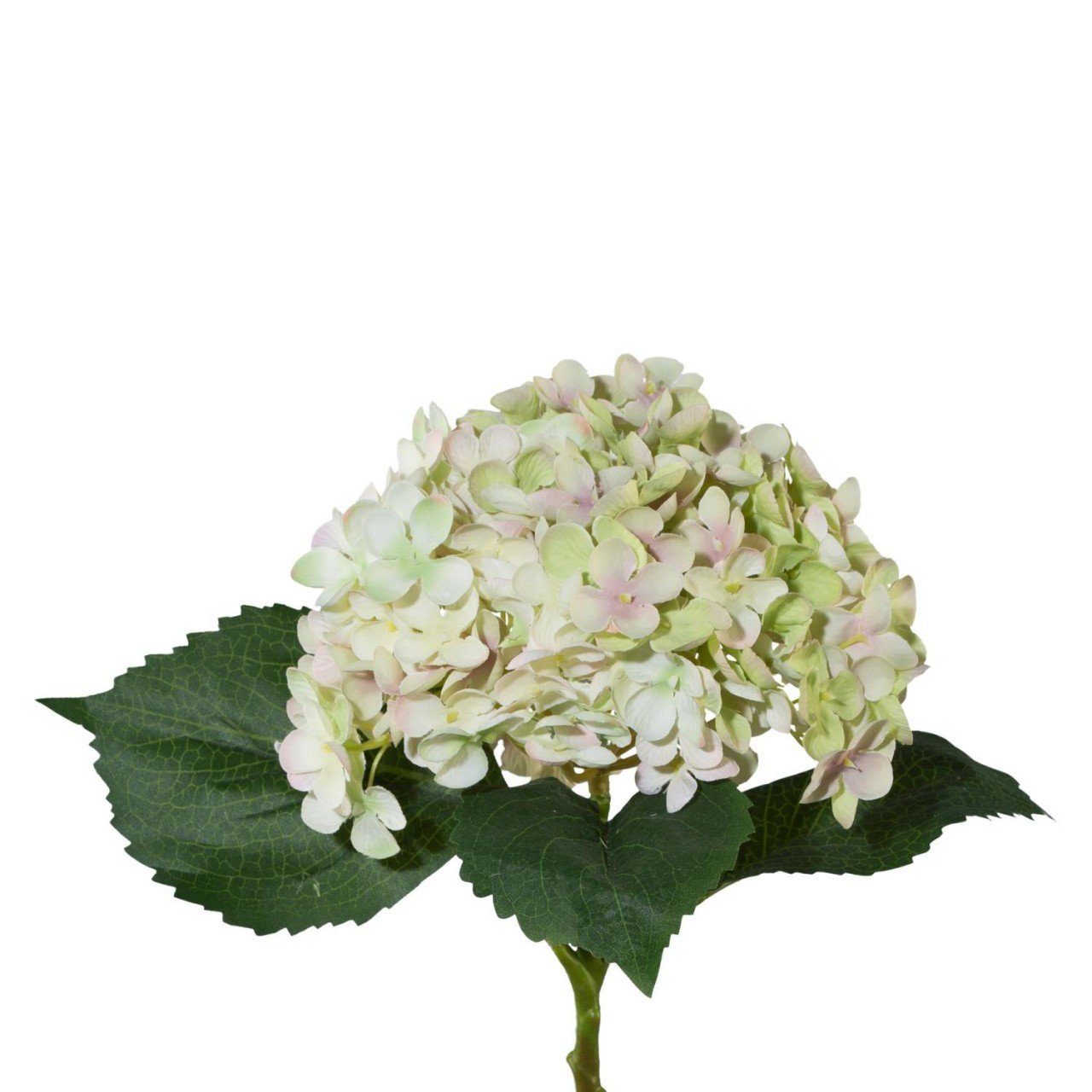 Kunstpflanze, Gasper, Höhe 53 cm, Grün H:53cm Kunststoff